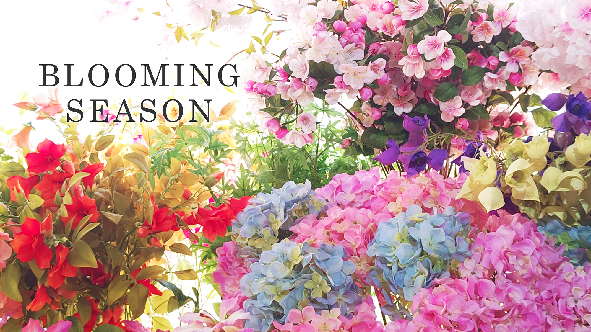 2024春夏新作アイテムのメインビジュアルパソコン版