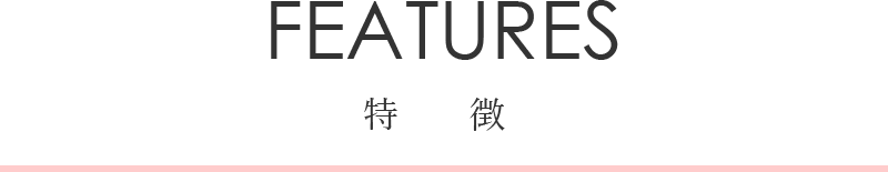 タイトル　コンセプト　スマホ版